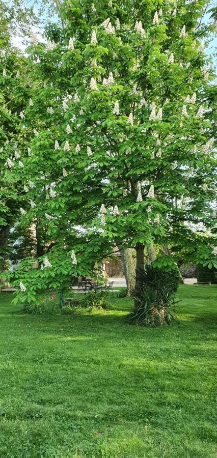 B&B Le Domaine Des Marcoujans Saint-Élix-le-Château Kültér fotó